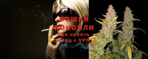каннабис Новодвинск