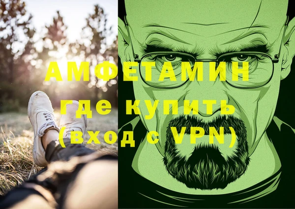 спиды Болотное