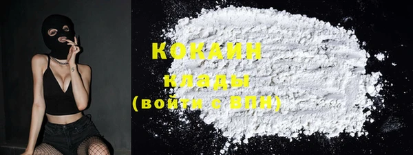 ПСИЛОЦИБИНОВЫЕ ГРИБЫ Болохово