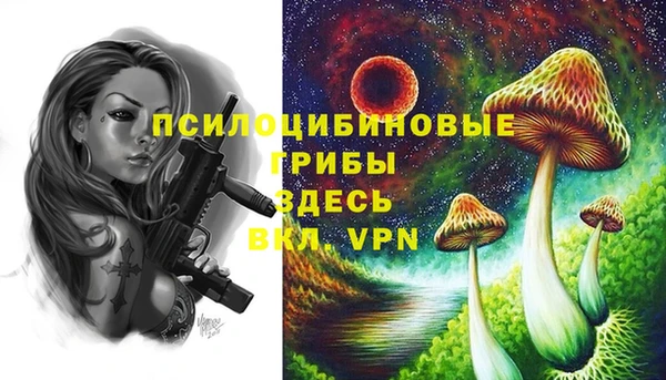 каннабис Новодвинск